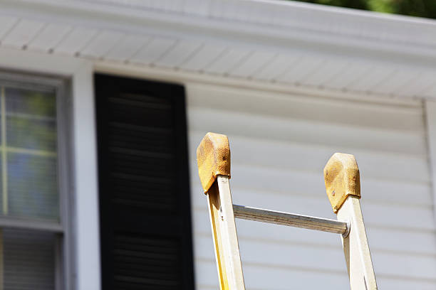 Best Custom Siding Design  in Water Valley, MS